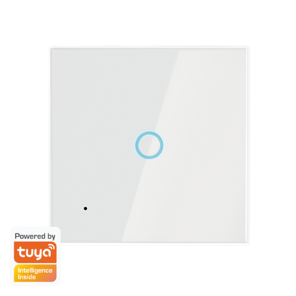 WiFi Smart EU Light Switch, 1-gang, Tuya compatible
